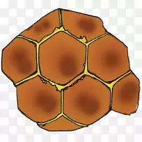 对称线球形线-空若网 对称线球形线-空若网