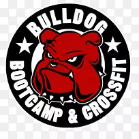 ͼֽ���-������