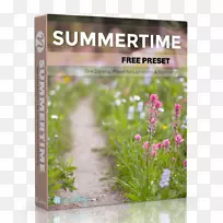 Adobe Lighttroom花土坯系统林肯玫瑰花-空若网 Adobe Lighttroom花土坯系统林肯玫瑰花-空若网