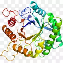 人体首饰有机体线剪贴画线-空若网 人体首饰有机体线剪贴画线-空若网