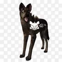 昆明狼犬澳大利亚剑麻带鼻斑鬣狗-空若网 昆明狼犬澳大利亚剑麻带鼻斑鬣狗-空若网