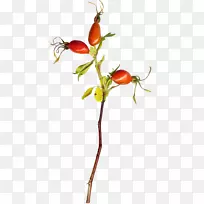 С����-������