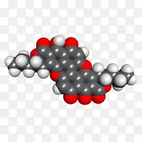 ��ָ���-������