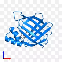 ֱ�ߵ����-������