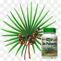 ���ƿƾ������ȡǰ���ٶ���غͪ-������