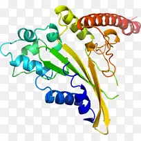 艺术植物茎体珠宝线剪贴画线-空若网 艺术植物茎体珠宝线剪贴画线-空若网
