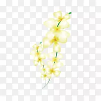 花卉设计切花,花束,飞蛾,兰花-空若网 花卉设计切花,花束,飞蛾,兰花-空若网