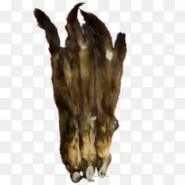 ŷ����β��-������