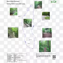 ����-��-������