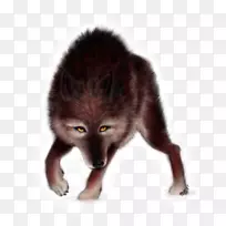 ���Ƥë�������-����-������