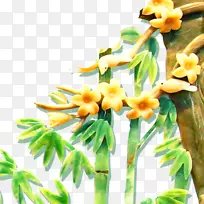 竹子下载-竹子-空若网 竹子下载-竹子-空若网