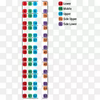 ӡ����·����.android-������