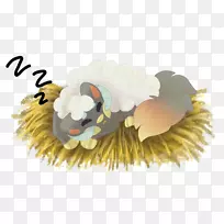 Carnivora卡通花-Torotix-空若网 Carnivora卡通花-Torotix-空若网