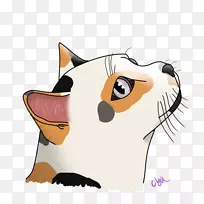 胡须,小猫,狗,鼻子-小猫-空若网 胡须,小猫,狗,鼻子-小猫-空若网