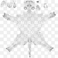 白海星线-海星-空若网 白海星线-海星-空若网
