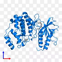 有机体线微软天蓝色剪贴画线-空若网 有机体线微软天蓝色剪贴画线-空若网