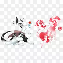 ������־-���-������