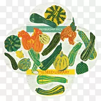 �߲˹���-������