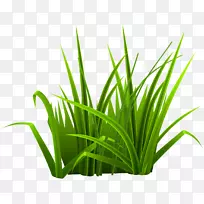 绿色下载-鲜绿小草-空若网 绿色下载-鲜绿小草-空若网