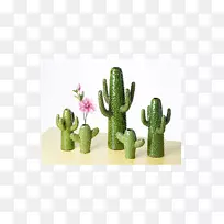 �����մ�װ������ֲ����Դ�����ƻ�ƿ-������