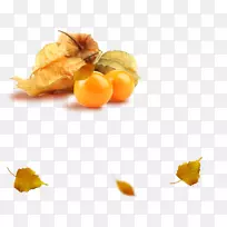 ��³��ӣ���ȴ�ˮ��ʳƷ-�߲�-������