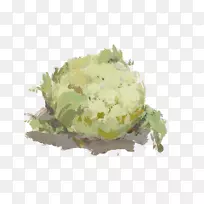 彩色大白菜蔬菜水彩画-大白菜-空若网 彩色大白菜蔬菜水彩画-大白菜-空若网
