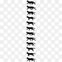 猫走循环动画电影画精灵猫-空若网 猫走循环动画电影画精灵猫-空若网