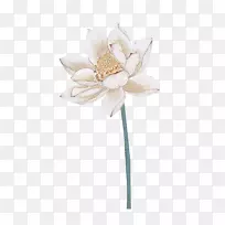 Á«»¨Ë®²Ê»-Á«»¨»-¿ÕÈôÍø Á«»¨Ë®²Ê»-Á«»¨»-¿ÕÈôÍø