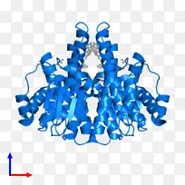 线夹艺术-线-空若网 线夹艺术-线-空若网