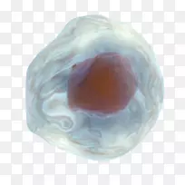 ������-������