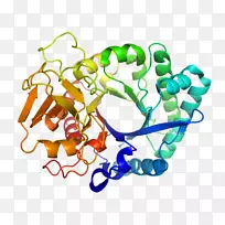 蛋白质折叠β片α螺旋-空若网 蛋白质折叠β片α螺旋-空若网