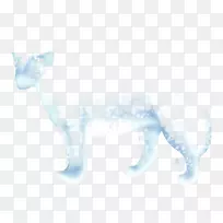 猫狗,犬科,鼻子,尾猫-空若网 猫狗,犬科,鼻子,尾猫-空若网