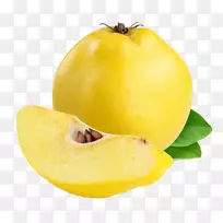 ��˹�ݱ����-������