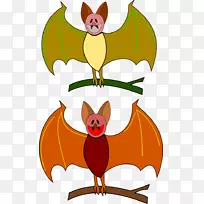 犬科犬鼻子夹艺术-空若网 犬科犬鼻子夹艺术-空若网