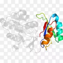 平面设计剪贴画.设计-空若网 平面设计剪贴画.设计-空若网