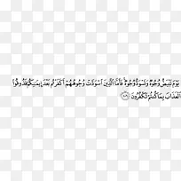 �߽�ë�ǰ�ɫ������-������