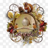 圣诞装饰品-圣诞节-空若网 圣诞装饰品-圣诞节-空若网