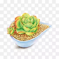 ��ͨ��ֲ֭�ﶯ����ͼ-����-������