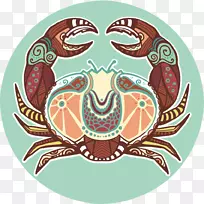 蟹癌星座-摩羯座-空若网 蟹癌星座-摩羯座-空若网