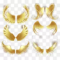 翼下载金光翅膀-空若网 翼下载金光翅膀-空若网