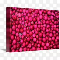 ÂûԽݮÒâÏóÉÌÒµÆÕͨÀñÀ´Æ¤Ã«ÒÕÊõ-ÆÕͨÀñÀ´Æ¤Ã«-¿ÕÈôÍø ÂûԽݮÒâÏóÉÌÒµÆÕͨÀñÀ´Æ¤Ã«ÒÕÊõ-ÆÕͨÀñÀ´Æ¤Ã«-¿ÕÈôÍø