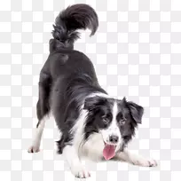 �ֲ�����Ȯ�߾�����Ȯ���������Ȯ��ë��Ȯè��ë��Ȯ-������