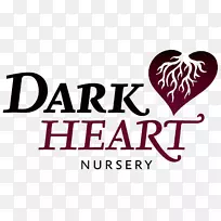 奥克斯特坦大学克隆心脏托儿所遗传学-心脏-空若网 奥克斯特坦大学克隆心脏托儿所遗传学-心脏-空若网