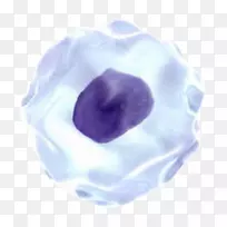 珠宝设计珠宝首饰-空若网 珠宝设计珠宝首饰-空若网