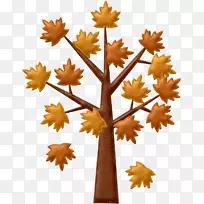 枫叶对称叶-空若网 枫叶对称叶-空若网