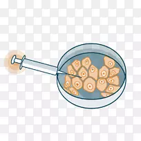 烹饪体首饰.设计-空若网 烹饪体首饰.设计-空若网