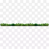 绿草科森林-空若网 绿草科森林-空若网