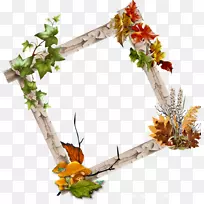 花卉设计博客画框.花-空若网 花卉设计博客画框.花-空若网