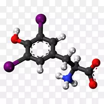 二碘酪氨酸甲状腺激素氨基酸促甲状腺激素-空若网 二碘酪氨酸甲状腺激素氨基酸促甲状腺激素-空若网