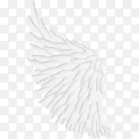 ������ɫ��ë-�����Ƭ-������